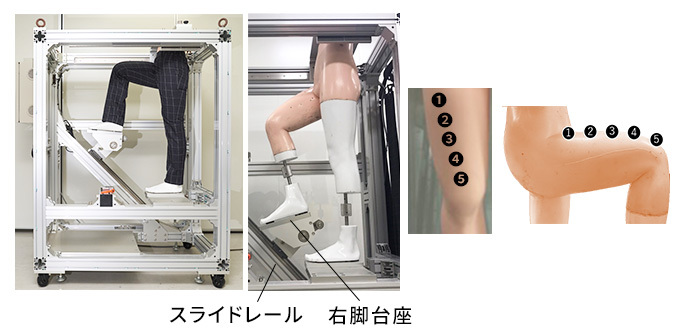 ロボットが片脚を上げる動作によって生じる衣服圧を、大腿部(5ヵ所)で測定